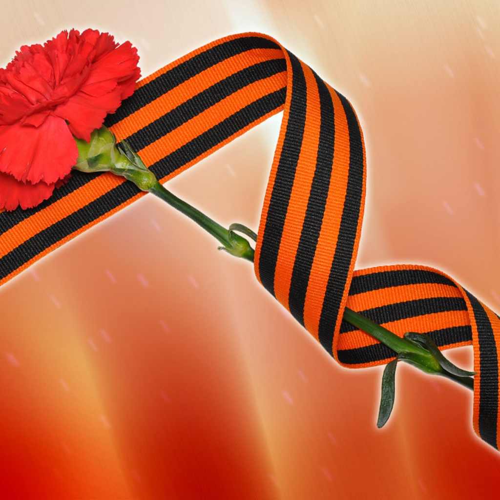 Красная гвоздика и георгиевская лента на 9 мая 