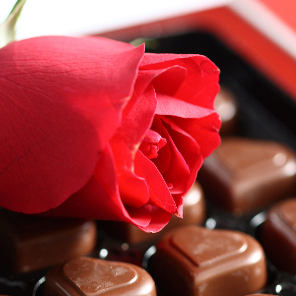 Конфеты в форме сердца и красная роза 