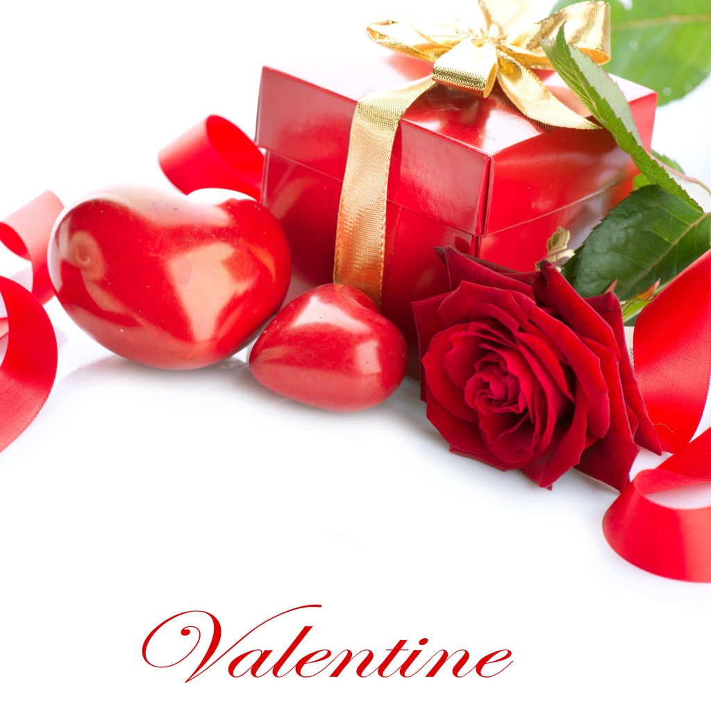 Красная роза с подарком и сердечками на белом фоне ко Дню всех влюбленных 14 февраля