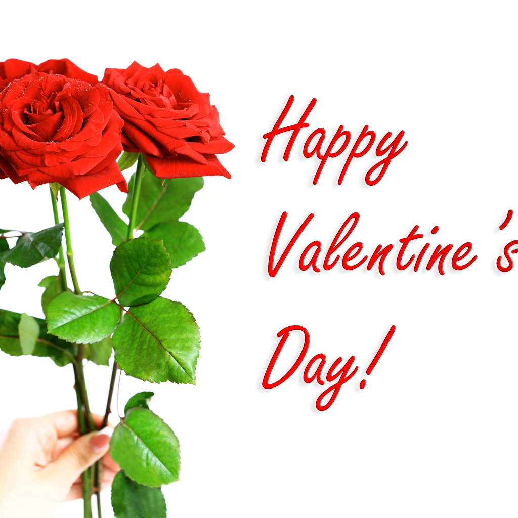 Три красных розы на День Святого Валентина, 14 февраля