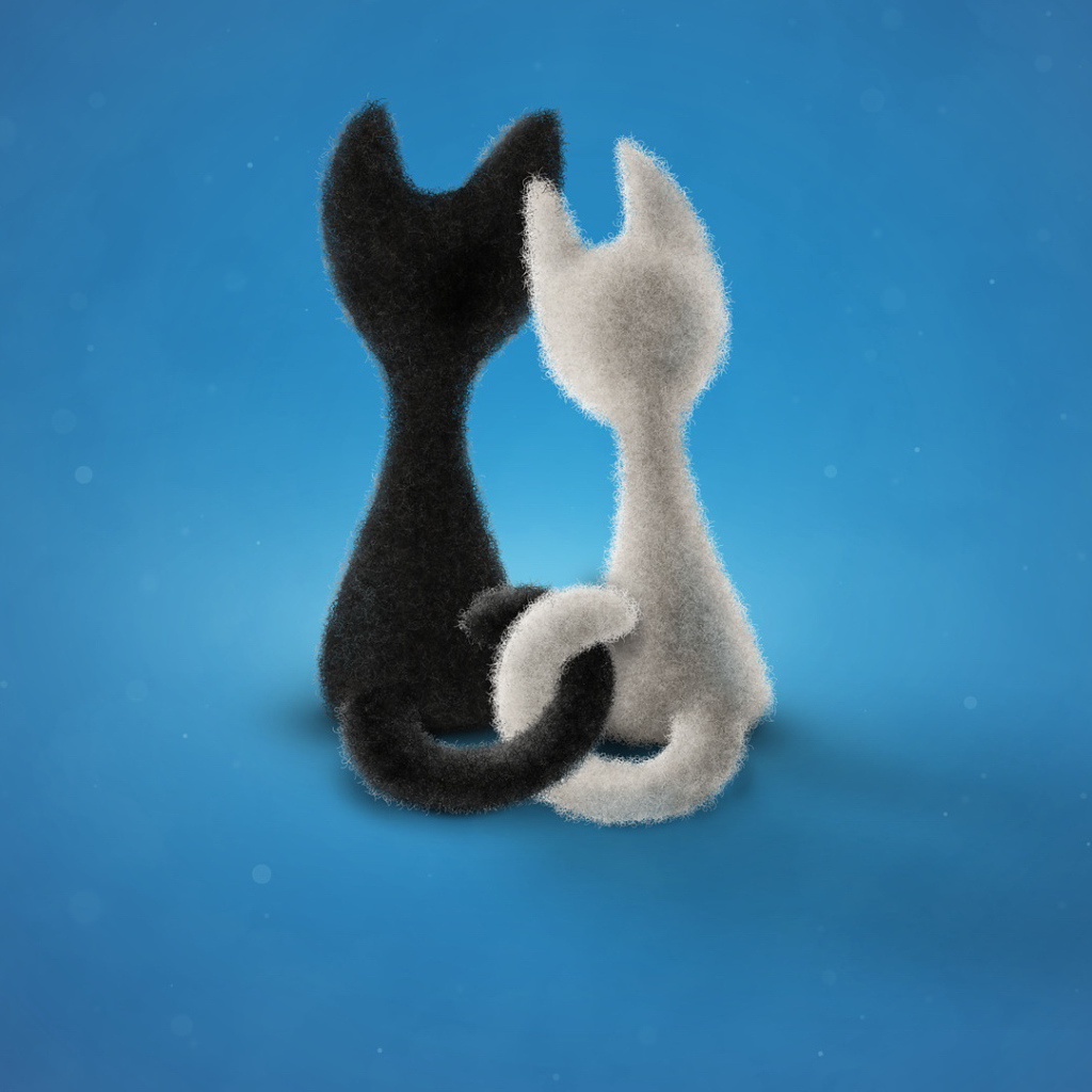 Влюбленные коты на синем фоне 