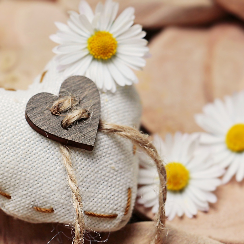 Сердце из ткани с белыми цветами ромашки