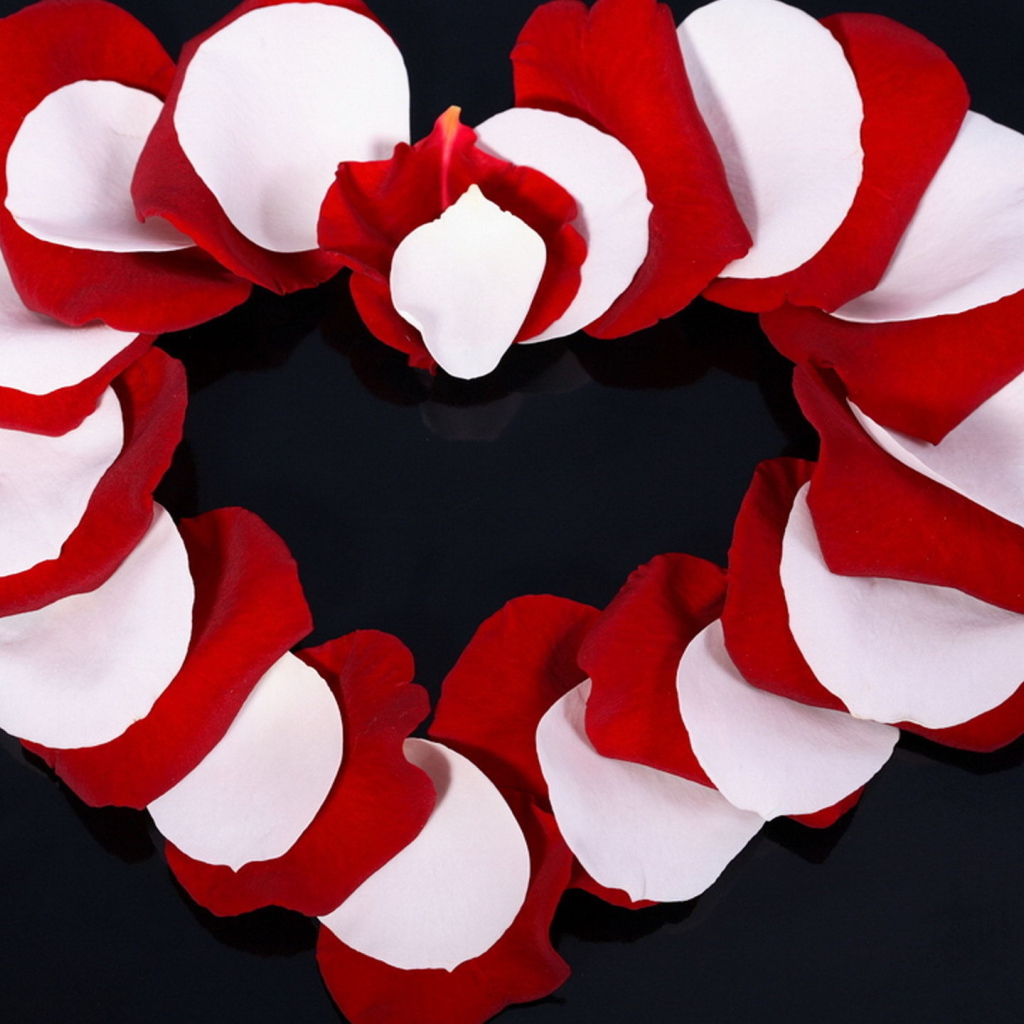 Сердце из лепестков розы 