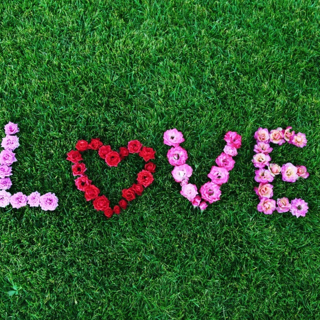 Надпись Любовь выложена из роз на зеленой траве