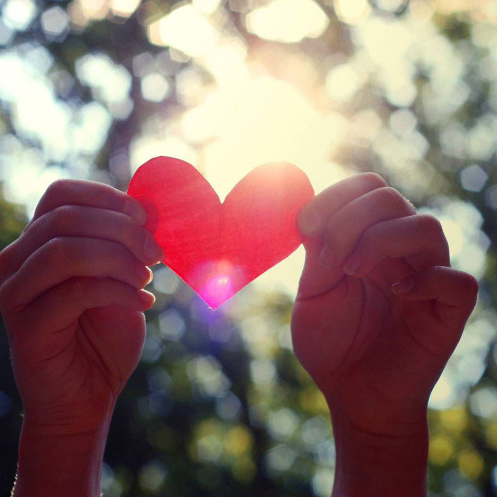 Бумажное сердце в руках 