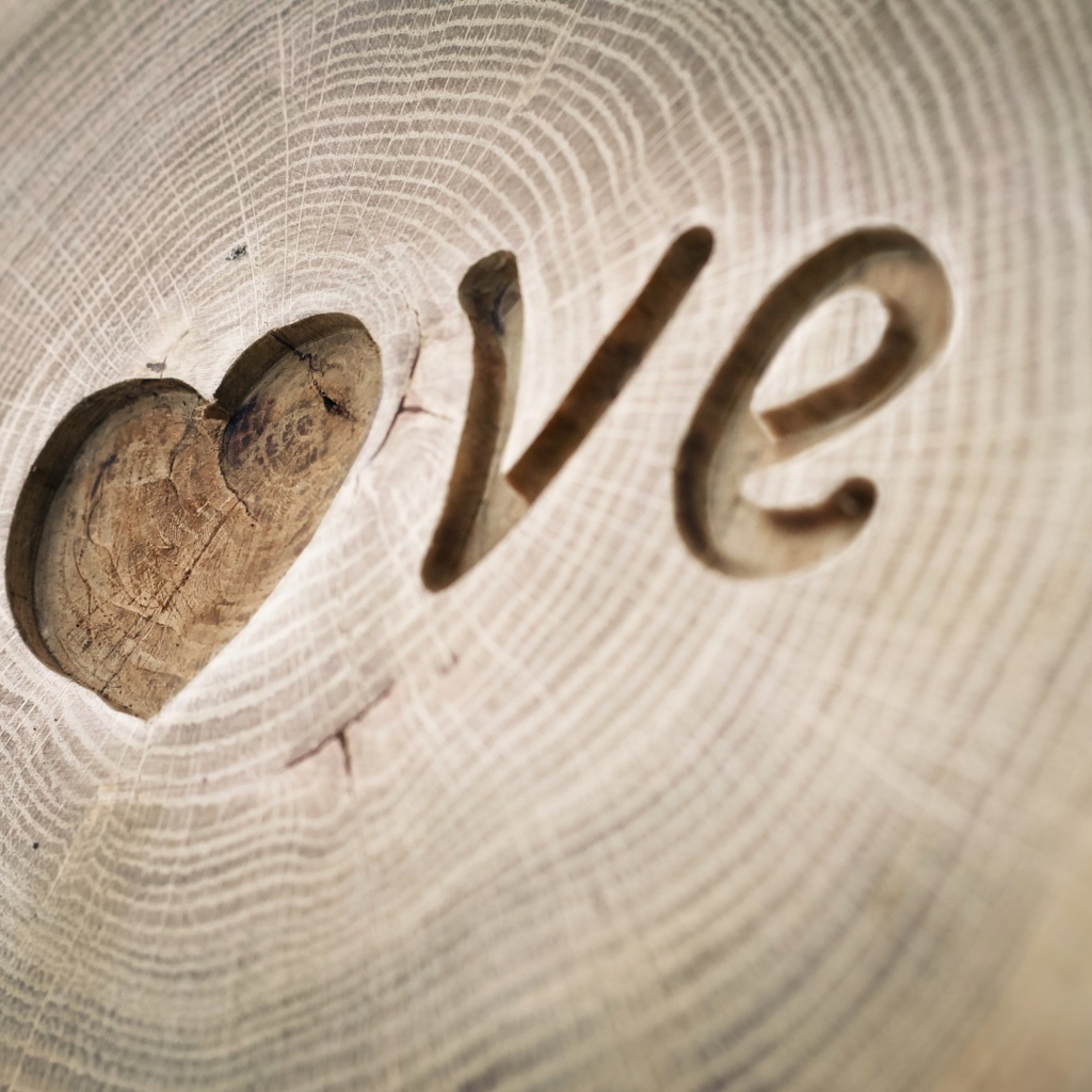 Надпись LOVE вырезана на дереве
