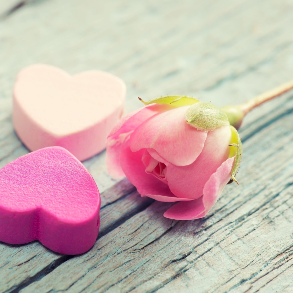 Два розовых сердца и розовая роза лежат на деревянной поверхности