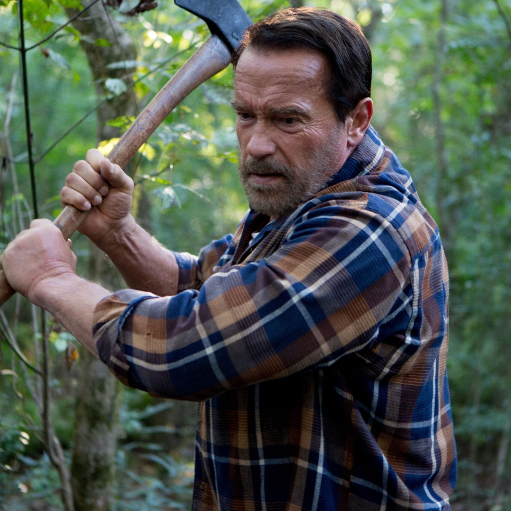 Актер Арнольд Шварценеггер в фильме Последствия, 2017 