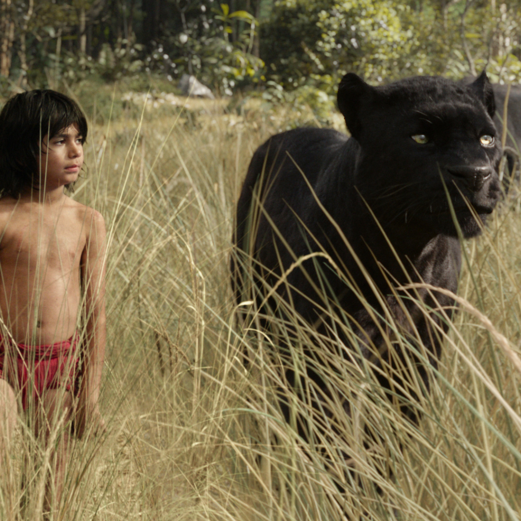 Маугли и Багира персонажи фильма Книга джунглей 2016 