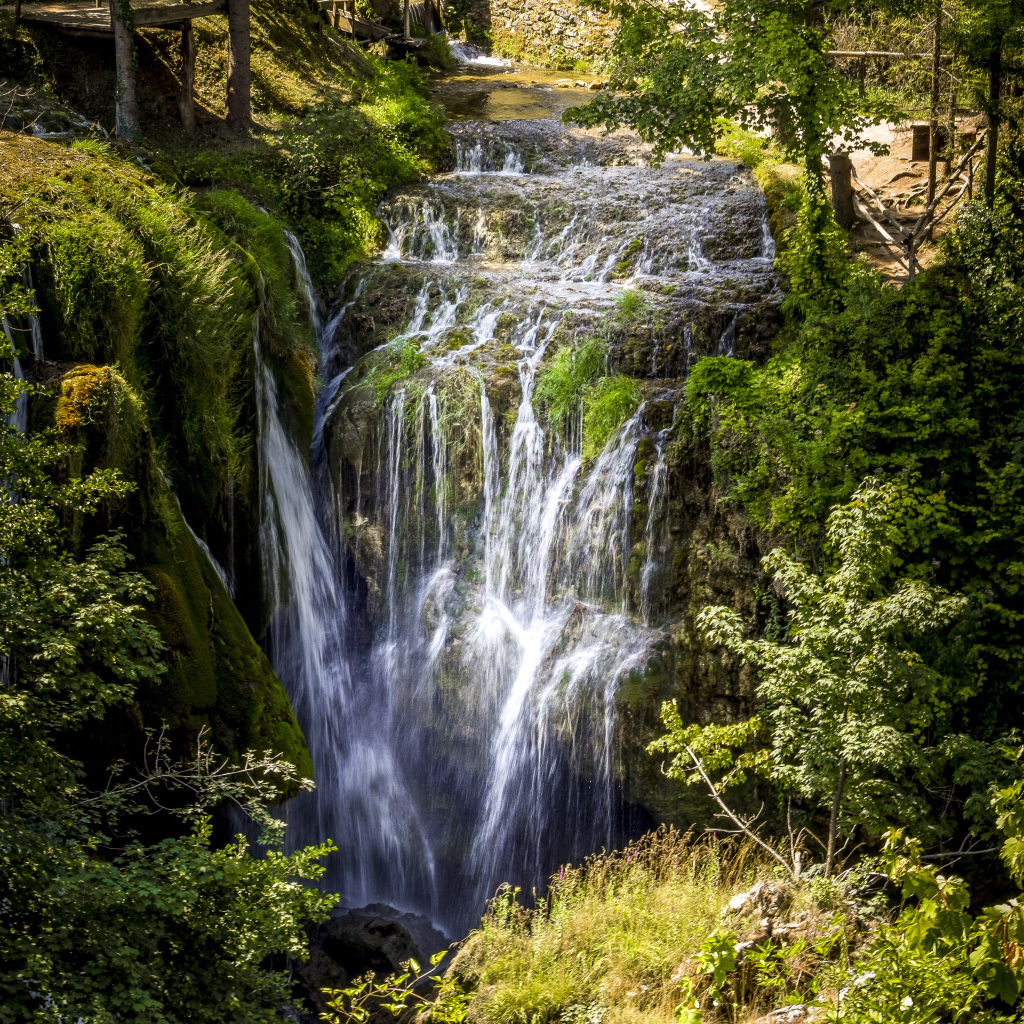 Красивый водопад стекает с утеса в лесу у покрытых зеленью деревьев