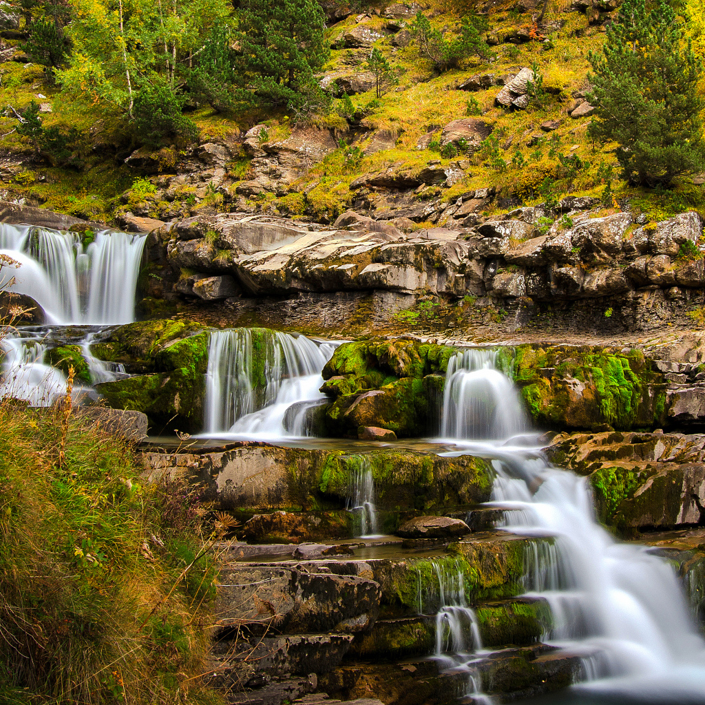 Быстрый ручей стекает по скале в осеннем лесу