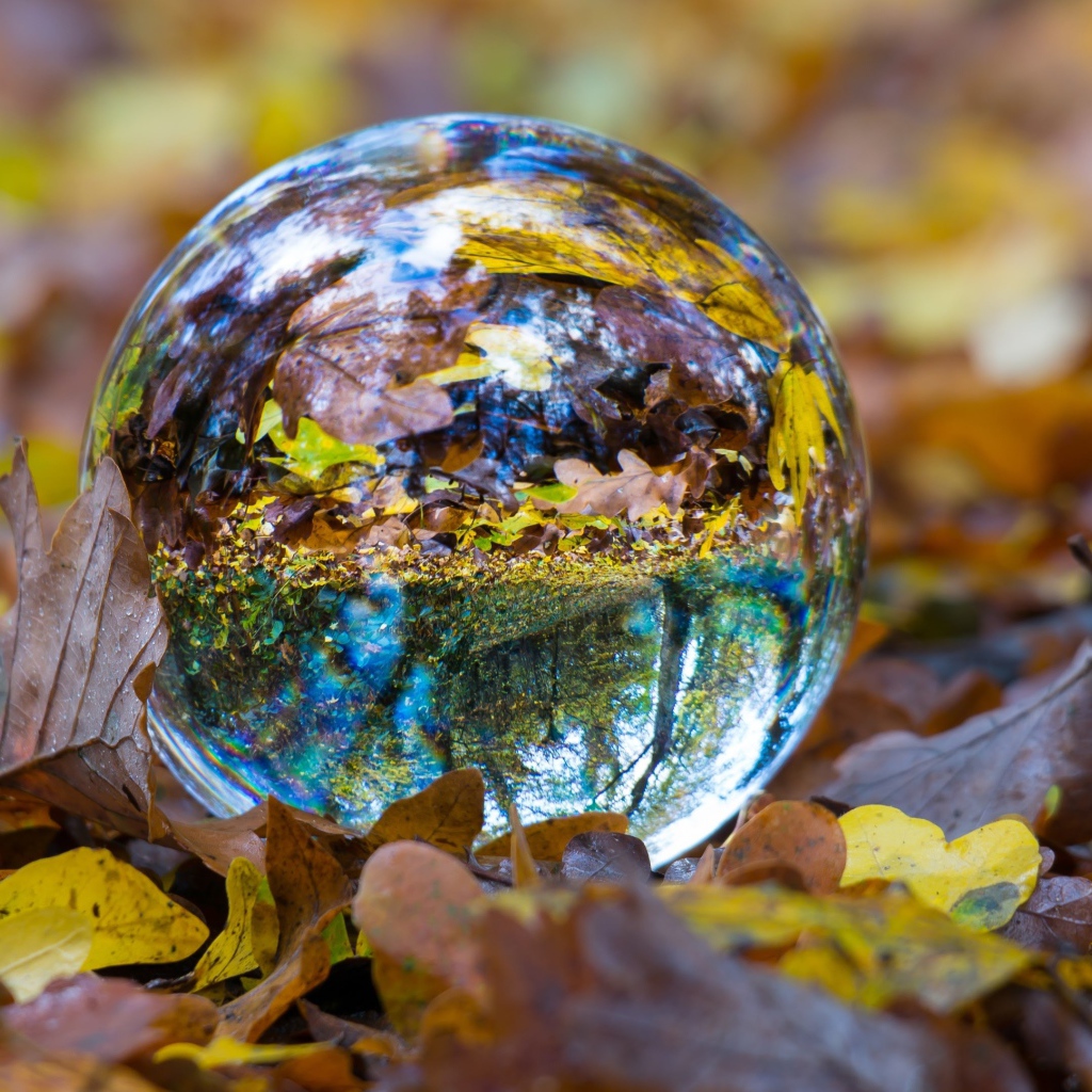 Стеклянный шар лежит на сухой желтой траве осенью