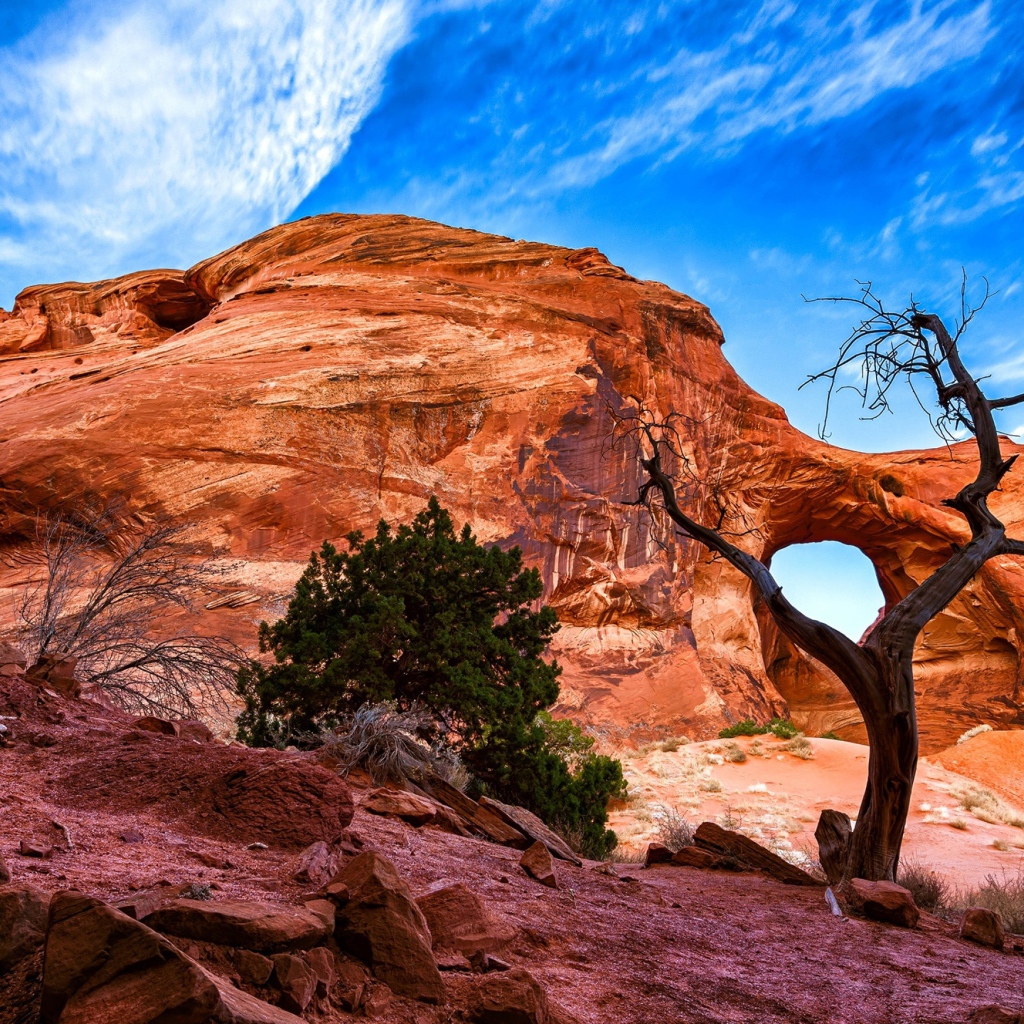Каменный каньон под красивым голубым небом