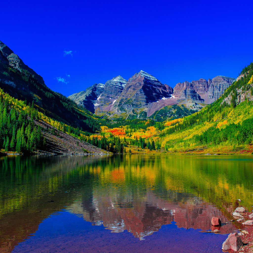 Красивая зеленая природа у водоема в горах 