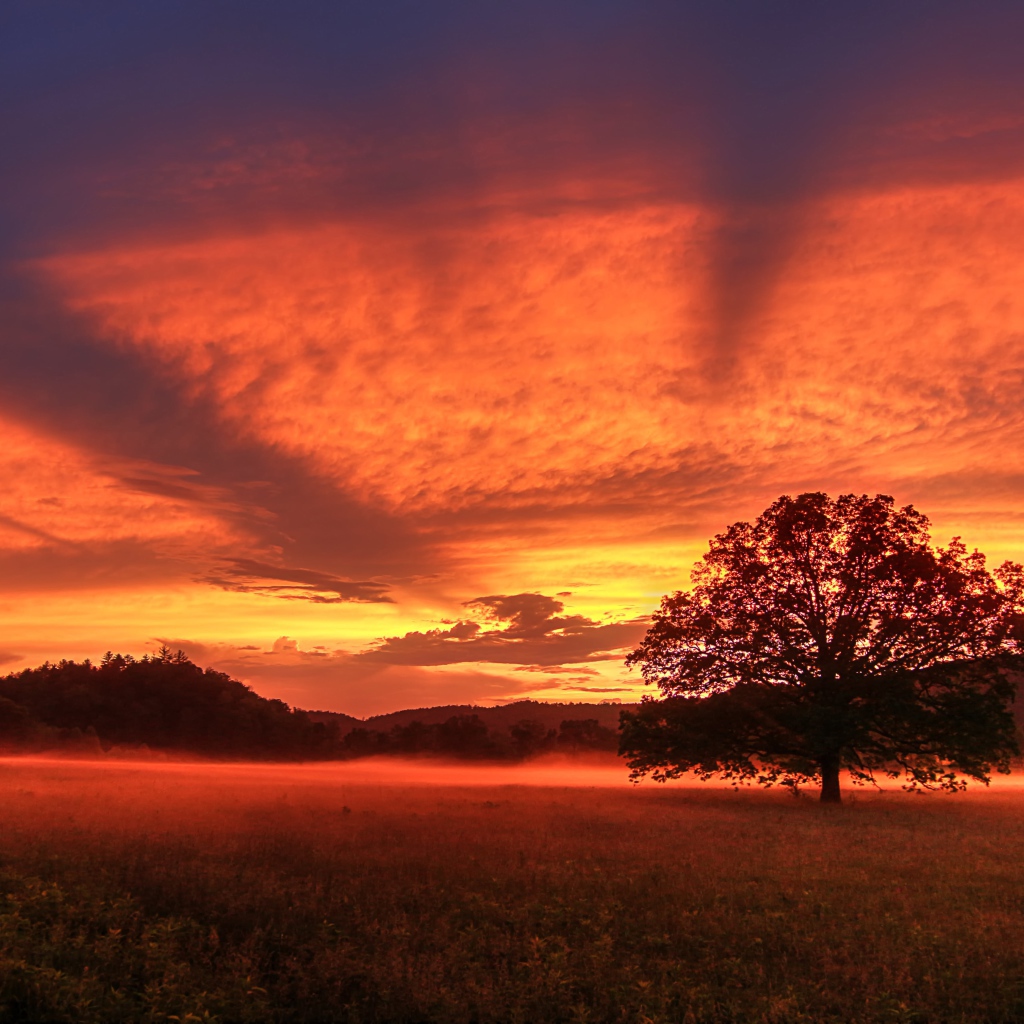 Красивое красное небо на закате  над полем