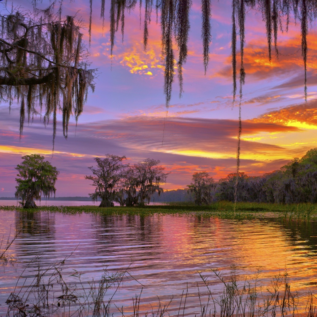 Красивое небо на закате над лесным озером