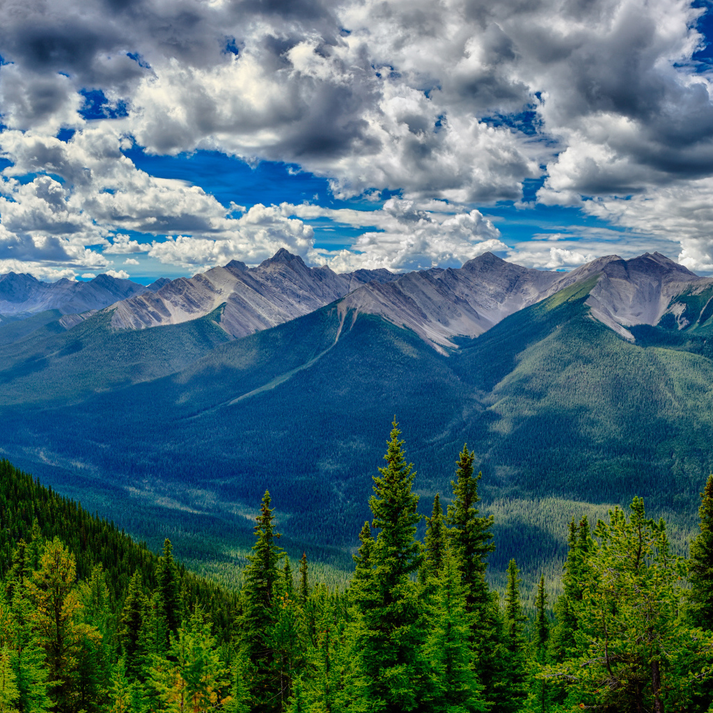 Красивое небо с белыми облаками над покрытыми лесом горами