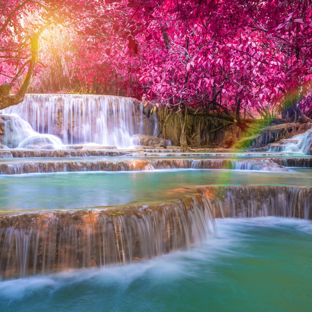 Красивые деревья с красными листьями у водопада 