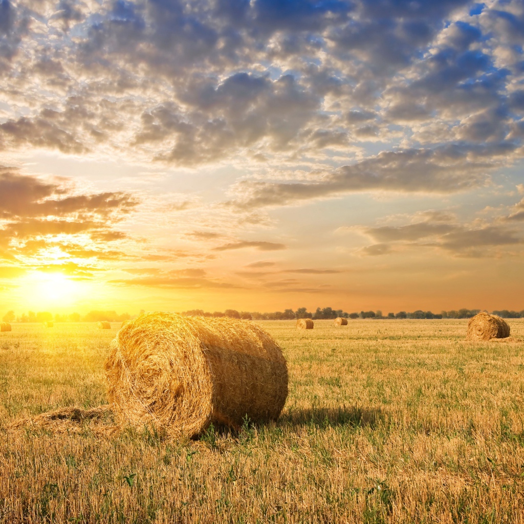 Яркое летнее солнце на закате над полем с соломой