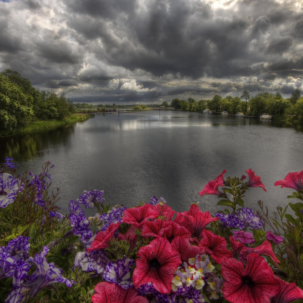Пасмурные облака над озером с цветами на берегу 