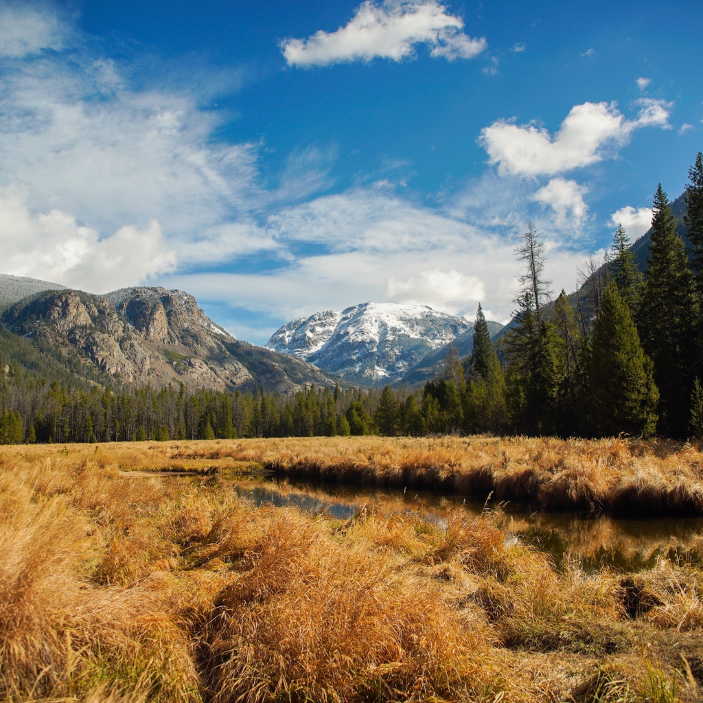 Сухая трава рядом с рекой на фоне гор 