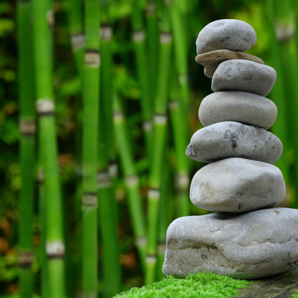 Серые камни на фоне зеленого бамбука