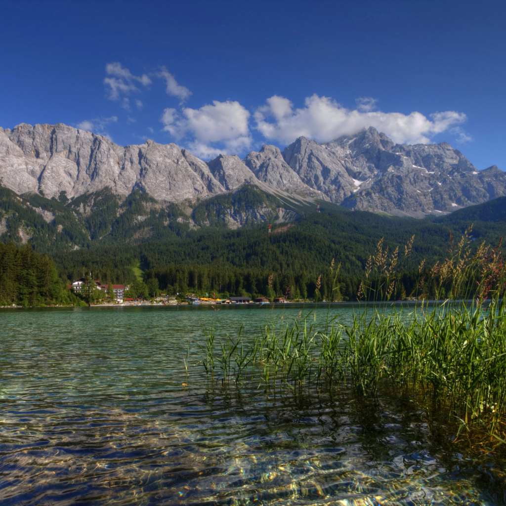 Зеленый лес у горного озера, Германия