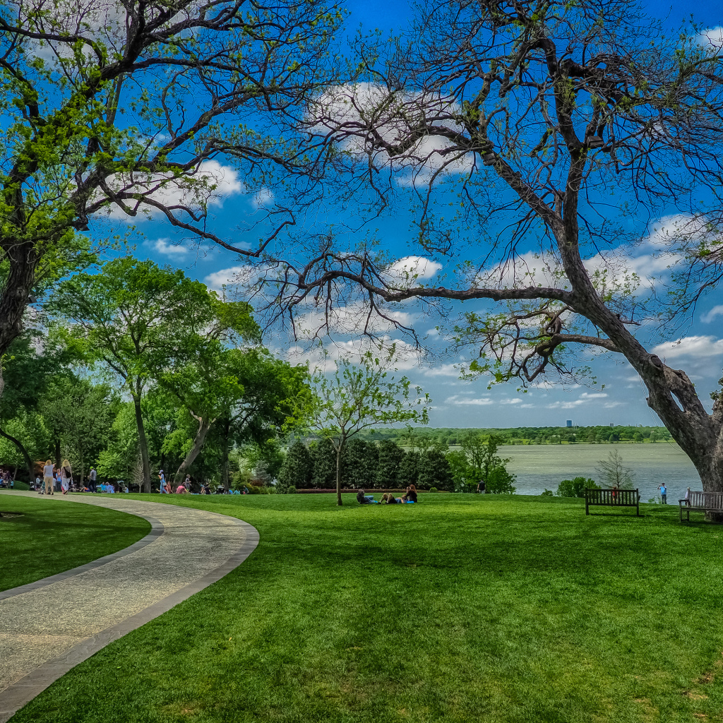 Зеленые газоны в парке на фоне красивого голубого неба