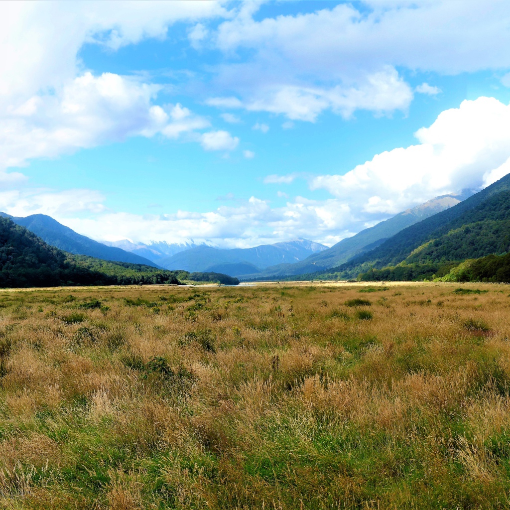Зеленые природные просторы Новой Зеландии 