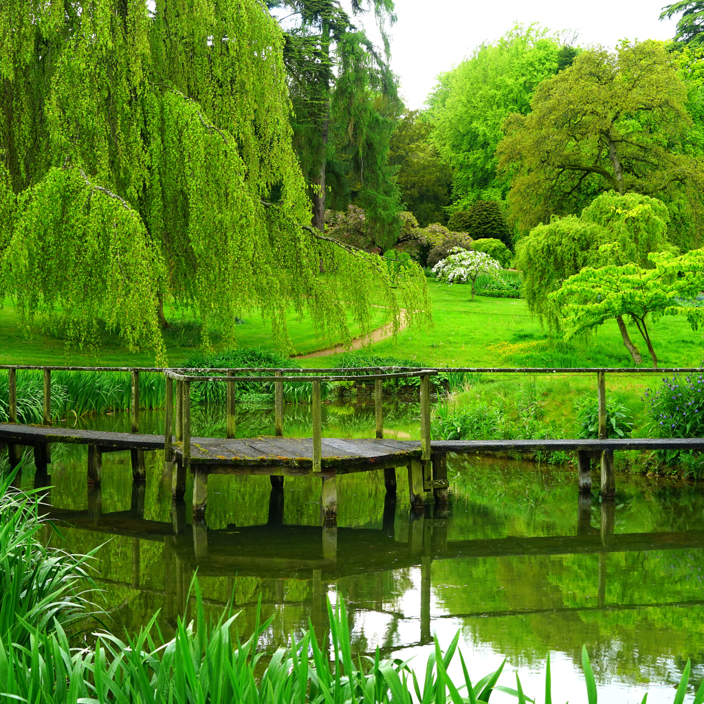 Зеленые деревья над старым мостом у пруда в парке