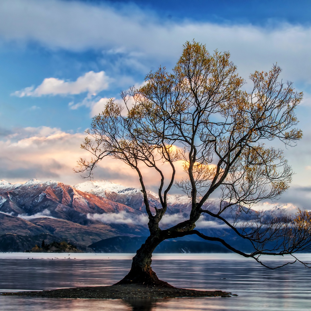Островок с деревом в озере на фоне гор