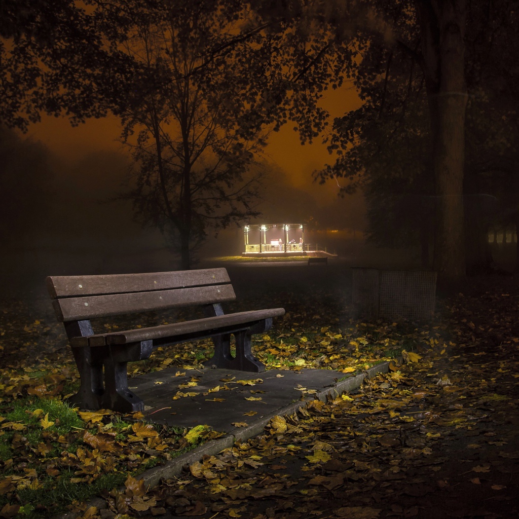 Одинокая скамейка в осеннем парке ночью