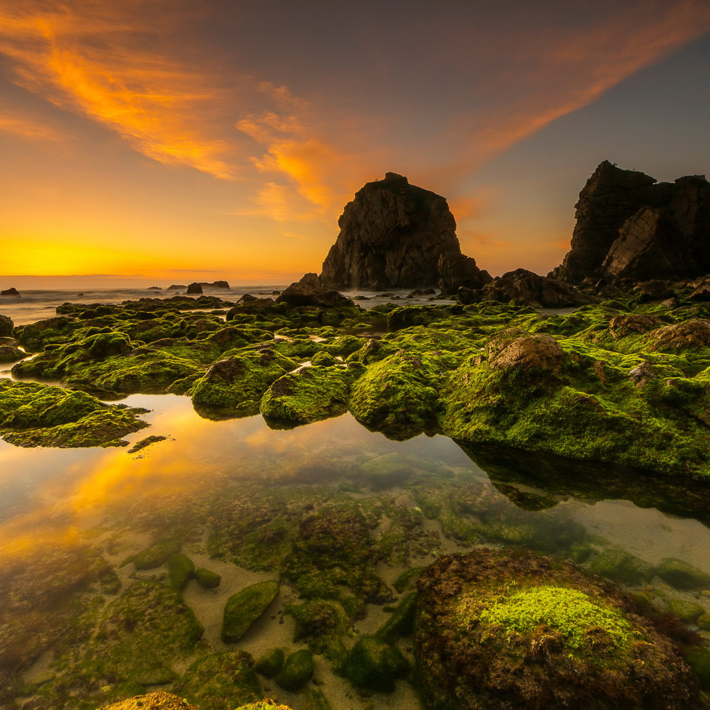 Покрытые мхом камни на морском берегу под красивым небом