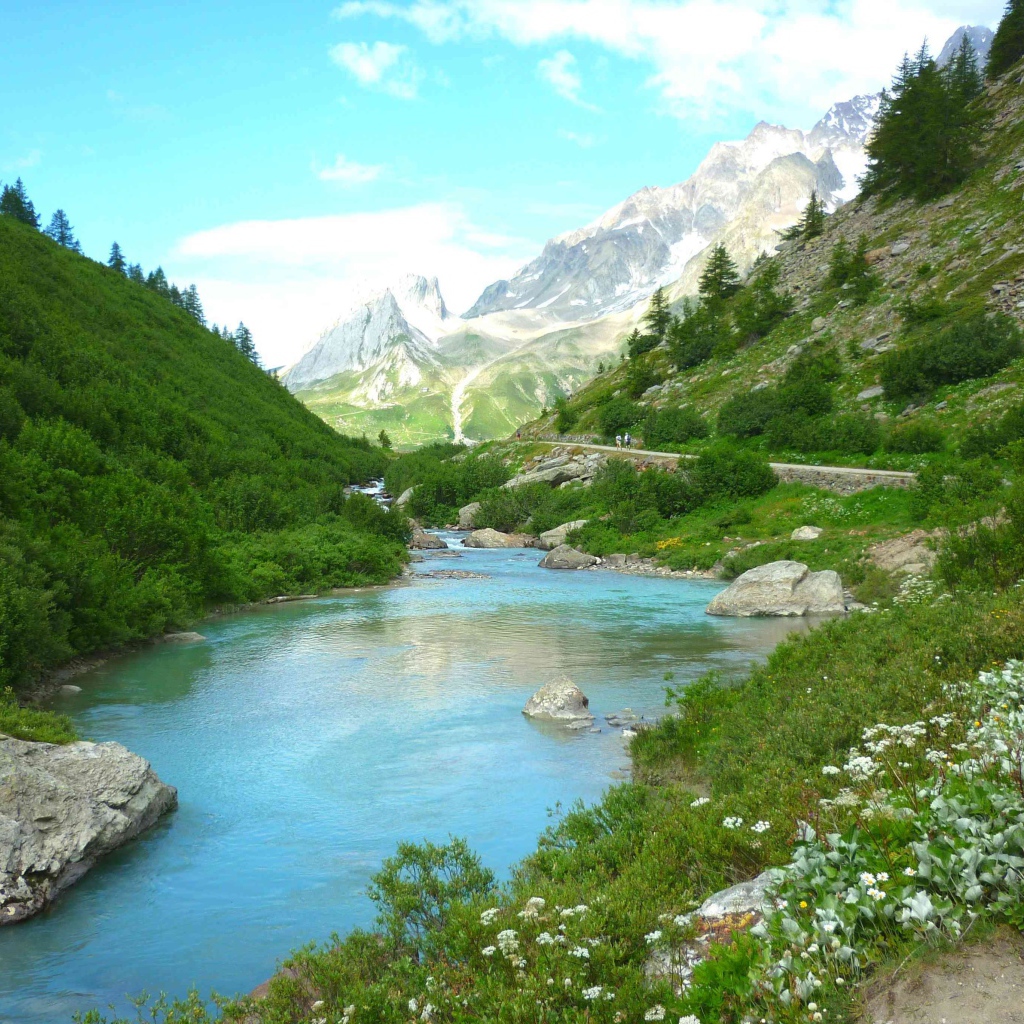 Горная река меж зеленых берегов 