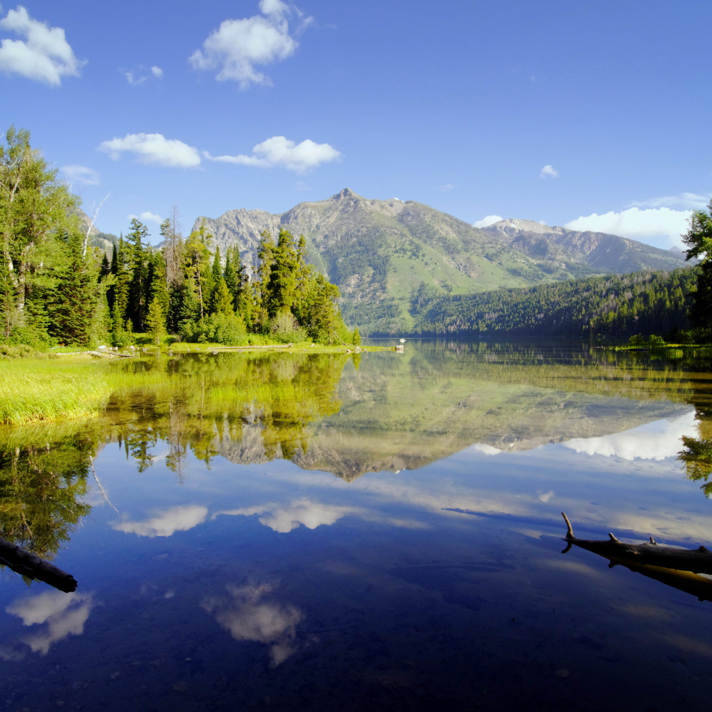 Живописная природа у горного озера 