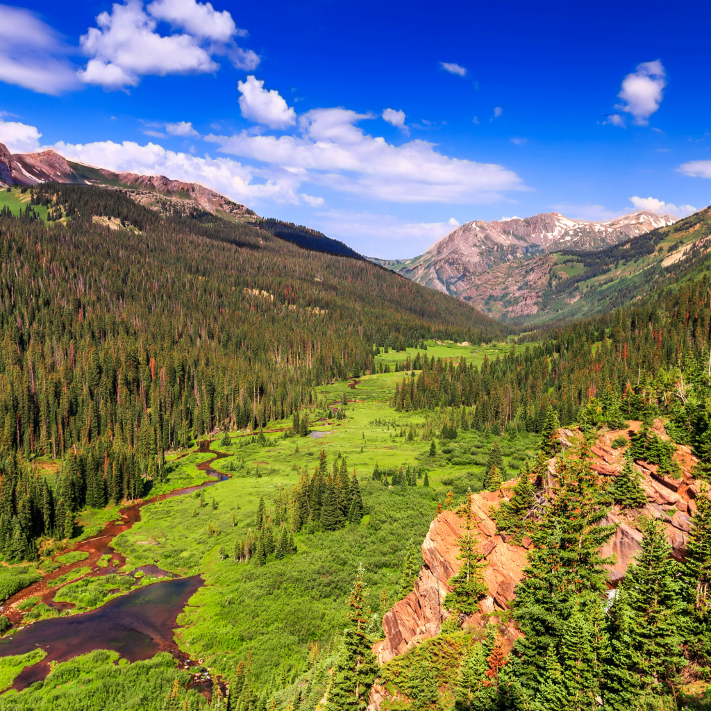 Живописный природный пейзаж под голубым небом 