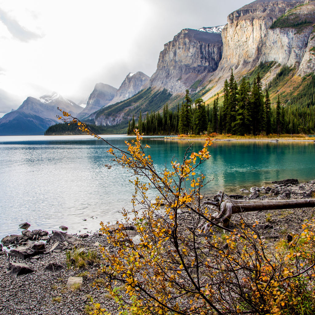 Остров Спирит на озере Малайн, Национальный парк Джаспер, Канада 