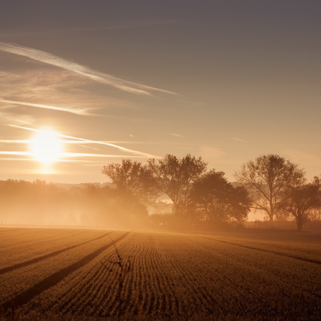 Восход солнца и туман над полем 