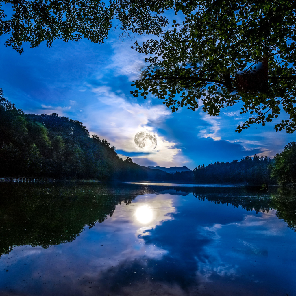 Большая луна отражается в водоеме 
