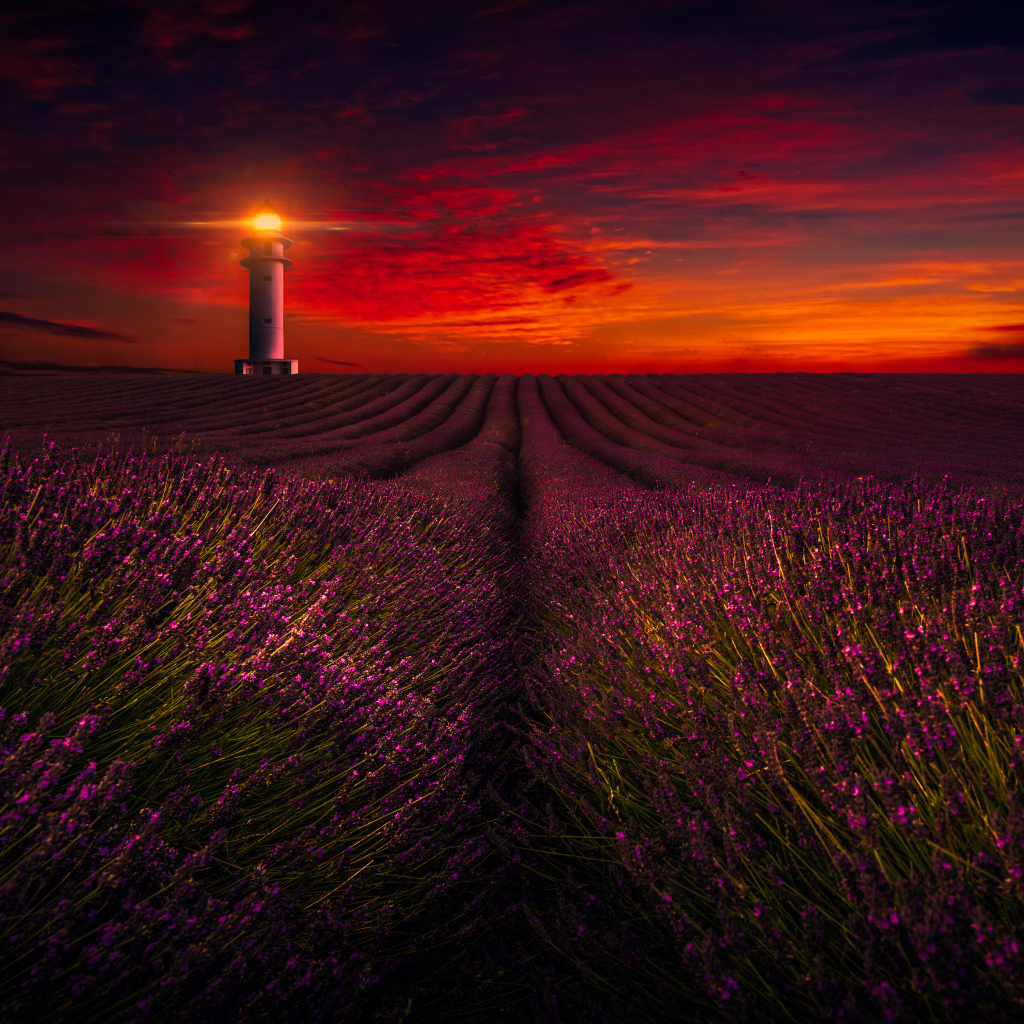 Маяк освещает лавандовое поле под красивым небом