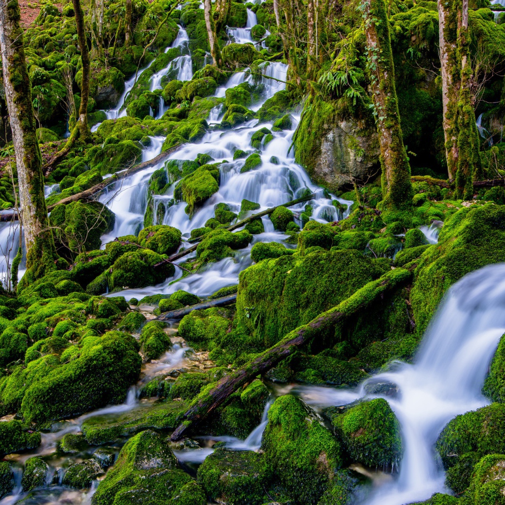 Водопад в лесу стекает по зеленым камням 