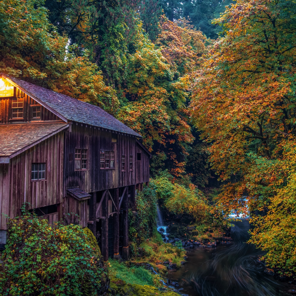 Водяная мельница в осеннем лесу