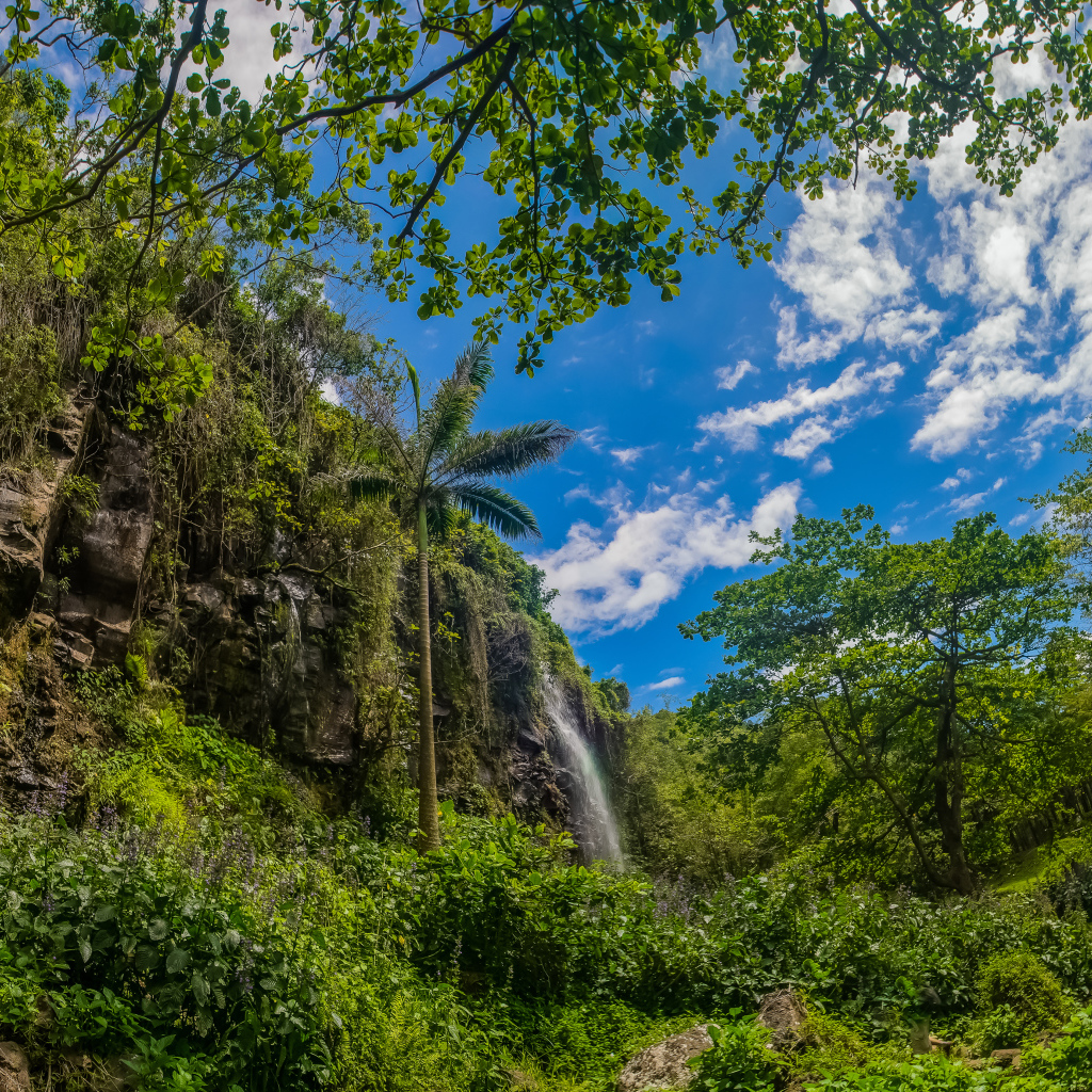 Водопад в тропическом лесу на фоне голубого неба 