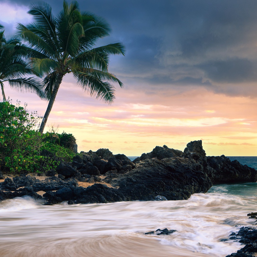 Красивый зеленый пляж 