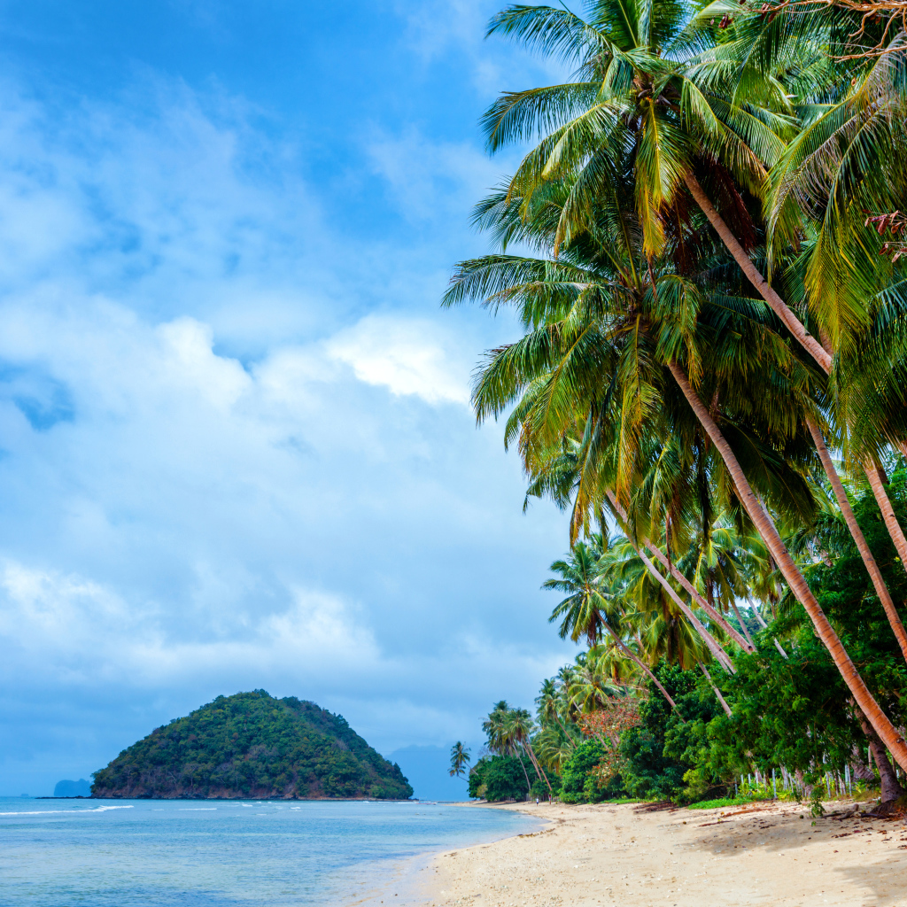 Пальмы на тропическом пляже на побережье Филиппин