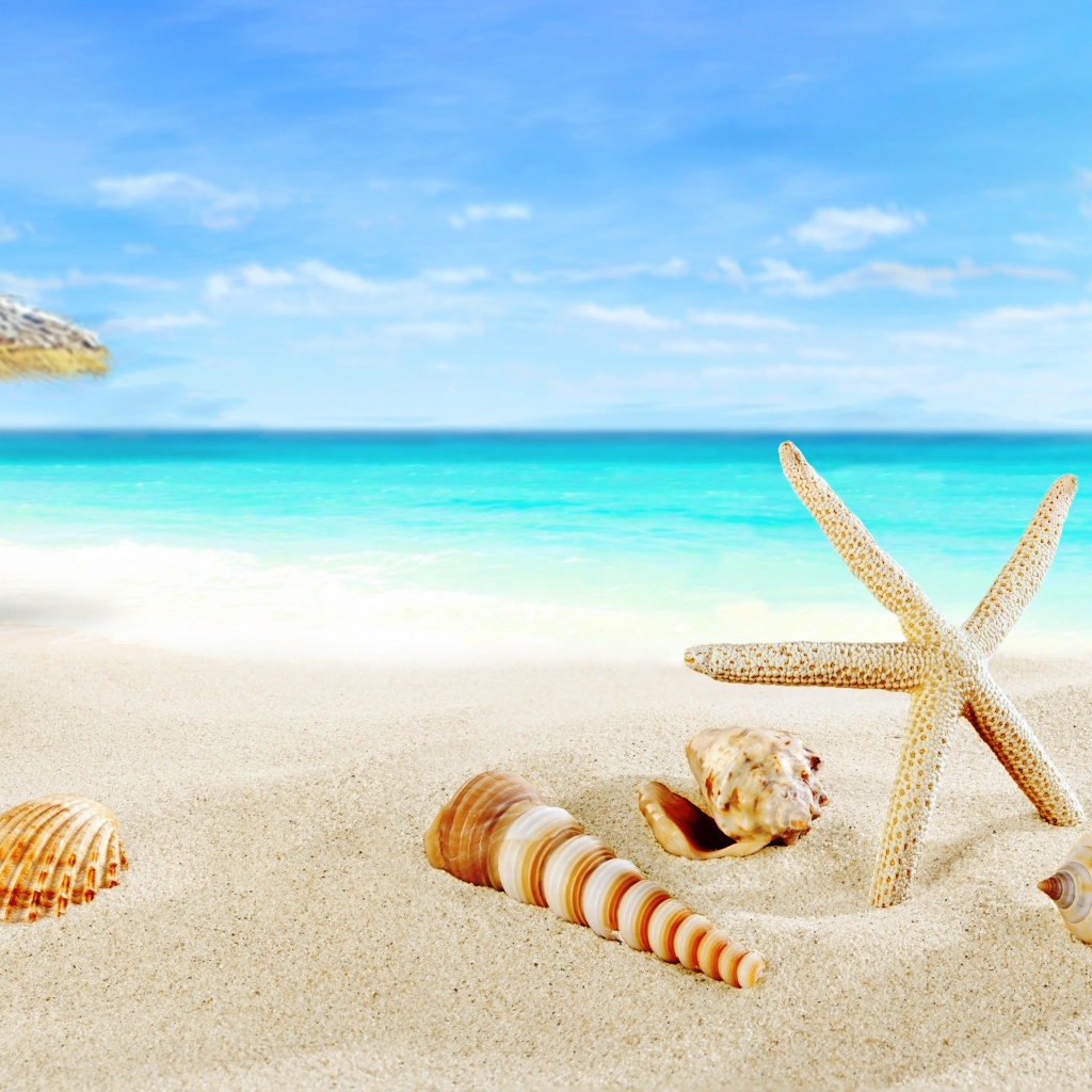 Ракушки и зонт на тропическом пляже