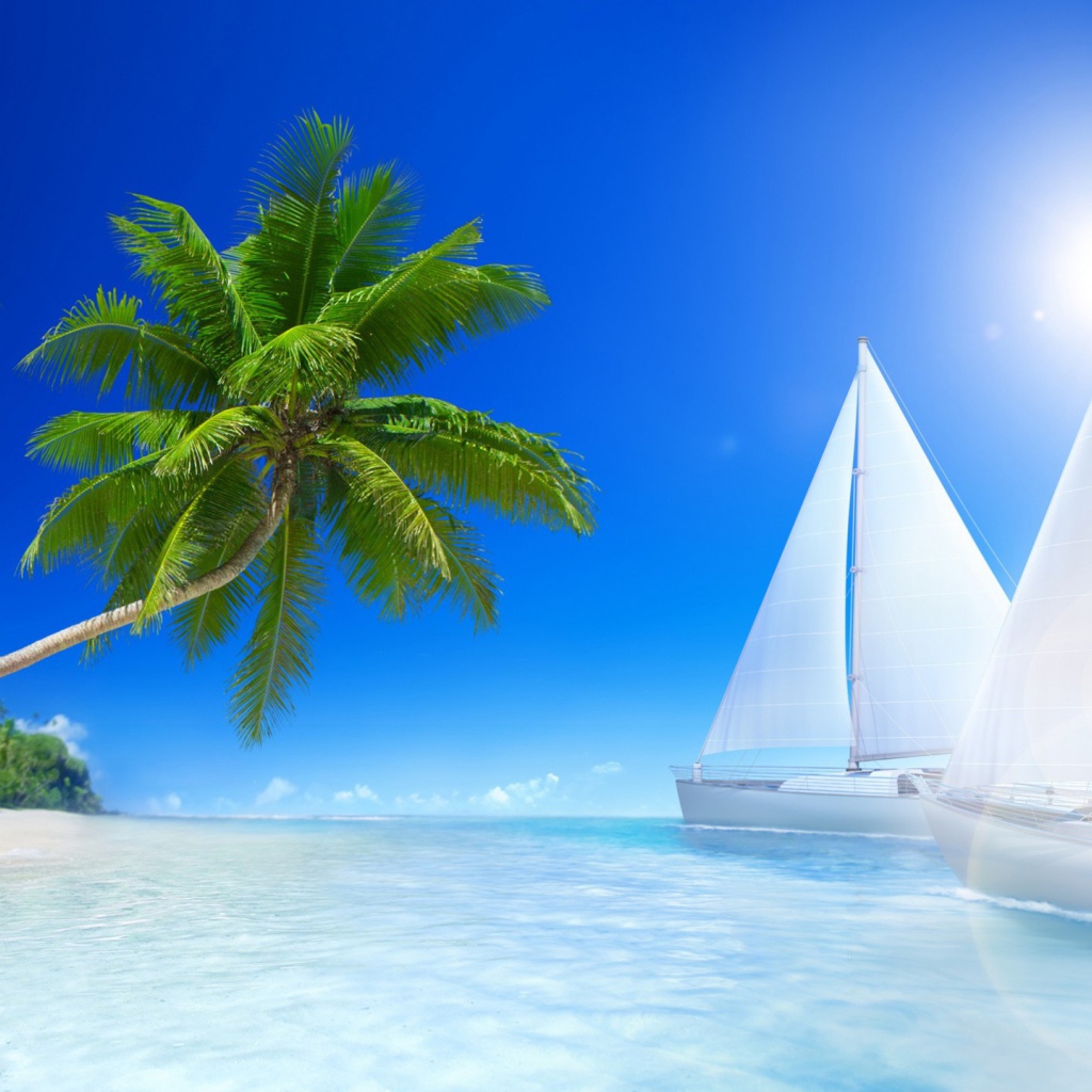 Белые парусники под солнцем у пляжа 