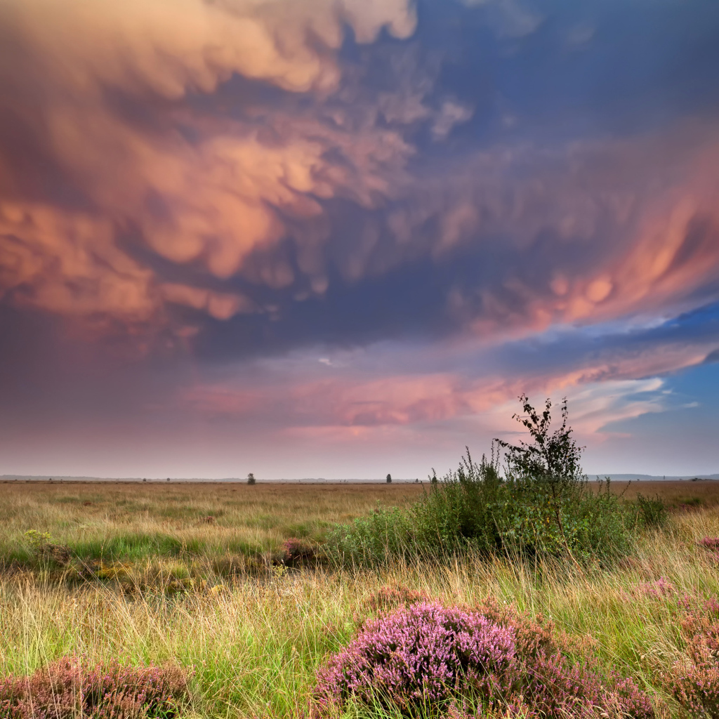 Красивые низкие облака в небе над полем