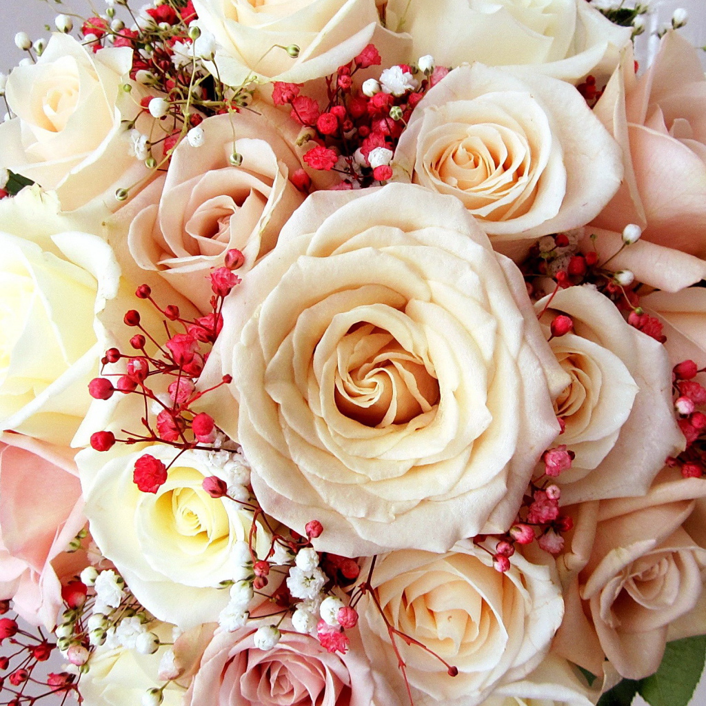 Красивый букет нежных роз кремового цвета 