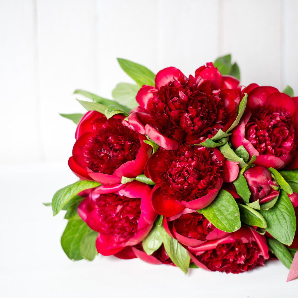 Красивый большой букет бордовых пионов